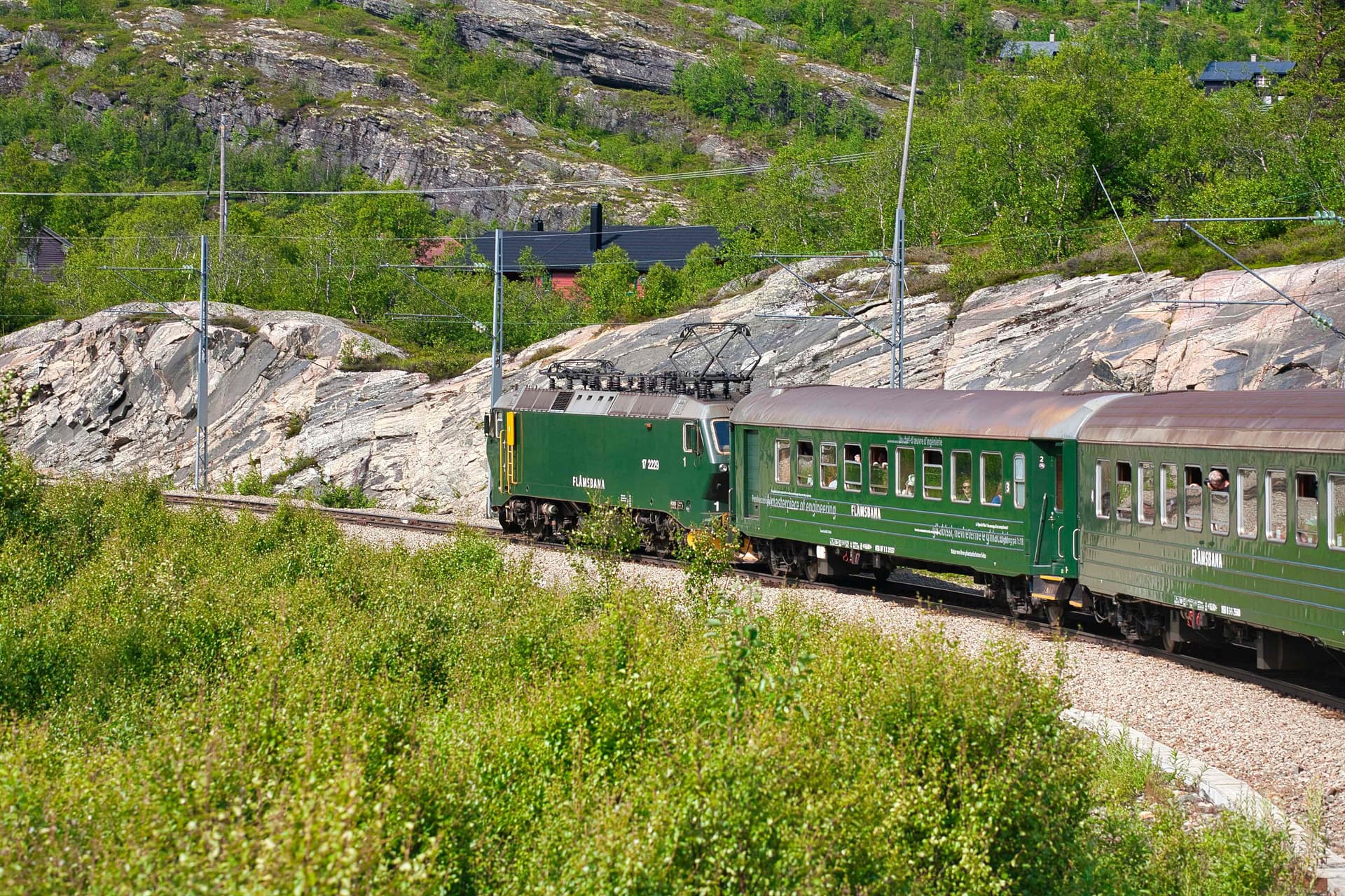 Green Flåmsbana train passing through lush summer landscape and rocky hills.